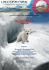 EL OSO POLAR KNUT COP20-CMP10