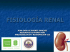 FISIOLOGÍA RENAL