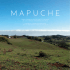 mapuche