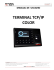 terminal tcp/ip color