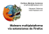 Malware multiplataforma vía extensiones de Firefox