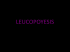 LEUCOPOYESIS