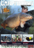 WEBCARP