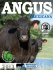 Ver en PDF - Asociacion angus mexicana