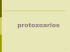 PROTOZOARIOS 2