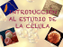 MICROSCOPIO ÓPTICO