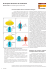 El Receptor Nicotínico de Acetilcolina