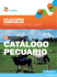 Descargue aquí el catálogo