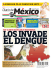 SS - Diario de México USA