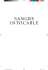 SANGRE INTOCABLE