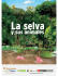 La Selva y sus Animales