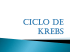 CICLO DE KREBS - alumnosmedicinaunahvs