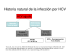 HCV RNA