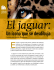 El jaguar es el felino más grande y poderoso del continente