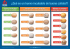 ¿Qué es un huevo incubable de buena calidad?