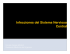 infecciones snc
