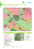 Mapa geológico de Miranda de Ebro