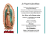 La Virgen de Guadalupe