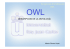 OWL Lite