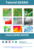 Descarga este tutorial en PDF - GEASIG. Especialistas en SIG y