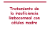 Tratamiento de la insuficiencia limbocorneal con células