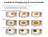 Food Questionnaire Serving Size Pictures