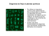 Anexo Diagrama de flujo