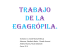 trabajo de la egagropila.