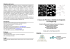 II Curso de Proceso y Análisis de Imágenes con ImageJ