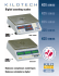 Digital counting scales