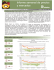 Informe semanal de precios y mercados