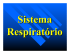 Sistema Respiratório