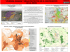 Realización - GeoComunes