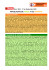 pinceladas de verde y de naranja