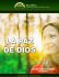 La Paz de Dios - Trigo y Miel AC