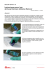 Instrucciones para el uso del Avery Dennison Adhesive Remover