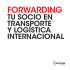 tu socio en transporte y logistica internacional