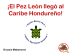 ¡El Pez León llegó al Caribe Hondureño!