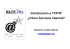Introducción a TCP/IP