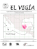 el vigía - fidemar