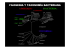 Proteobacteria