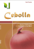 cebolla